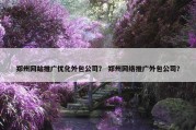 郑州网站推广优化外包公司？ 郑州网络推广外包公司？