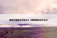 策划方案格式字体大小（策划案的文字大小）