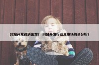 网站开发遇到困难？ 网站开发行业及市场前景分析？