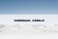 天津营销网站定制，天津营销公司