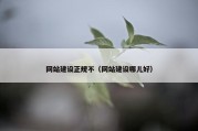 网站建设正规不（网站建设哪儿好）