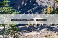菜品网页设计图片大全集？ 菜品图网站？