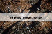 郴州手机网站开发招聘公司，郴州it招聘