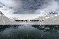 河南微网站开发（河南做网站的）