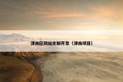 津南区网站定制开发（津南项目）