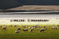 江门网站上排名？ 江门网站快速排名提升？