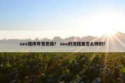 seo程序开发思路？ seo的流程是怎么样的？