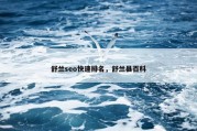 舒兰seo快速排名，舒兰县百科