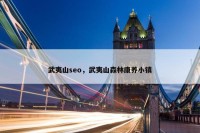 武夷山seo，武夷山森林康养小镇