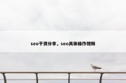seo干货分享，seo具体操作视频