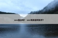seo值去吗？ seo有前途吗知乎？