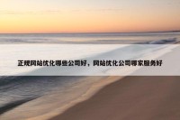 正规网站优化哪些公司好，网站优化公司哪家服务好