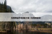 东莞网站开发准备介绍（东莞网站设）