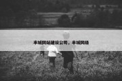 丰城网站建设公司，丰城网络