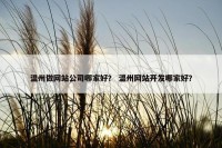 温州做网站公司哪家好？ 温州网站开发哪家好？