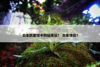 白象防雷技术网站建设？ 白象项目？