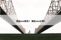 洪山seo优化？ 湖北seo公司？