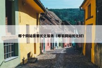 哪个网站需要优化服务（哪家网站优化好）