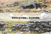 怎样优化自己网站s，怎么优化网站