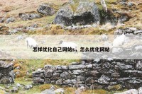怎样优化自己网站s，怎么优化网站