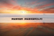 网站策划案例（网站策划案例怎么写）