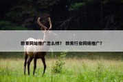 教育网站推广怎么样？ 教育行业网络推广？