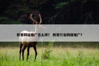 教育网站推广怎么样？ 教育行业网络推广？