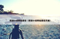 搭建小说网站建设（搭建小说网站建设方案）
