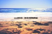 seo拼多多（拼多多营销网站）