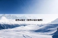 软件ui设计（软件UI设计案例）