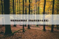 特定网站定制调试（网站调试是什么意思）