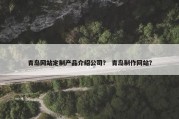 青岛网站定制产品介绍公司？ 青岛制作网站？