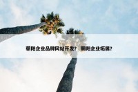 朝阳企业品牌网站开发？ 朝阳企业拓展？