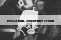 岳阳网站定制公司，岳阳网站开发网站运营哪家好