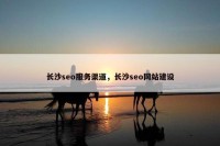 长沙seo服务渠道，长沙seo网站建设