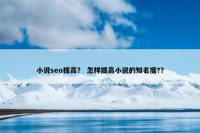 小说seo提高？ 怎样提高小说的知名度?？