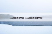 seo网络优化学习（seo网络优化难学吗）
