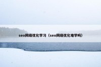 seo网络优化学习（seo网络优化难学吗）