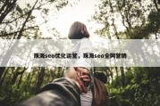 珠海seo优化运营，珠海seo全网营销