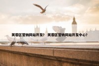芙蓉区营销网站开发？ 芙蓉区营销网站开发中心？