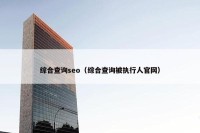 综合查询seo（综合查询被执行人官网）