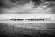 seo怎么做教程？ seo完整教程视频教程？