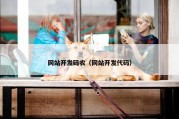 网站开发码农（网站开发代码）