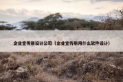 企业宣传册设计公司（企业宣传册用什么软件设计）