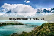宿州网站群推广哪家强一些（宿州seo公司）