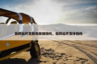 做网站开发服务商赚钱吗，做网站开发挣钱吗