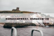 青岛网站优化维护费用多少，青岛网站优化推广方案