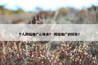 个人网站推广心体会？ 网站推广的好处？