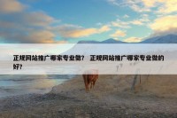 正规网站推广哪家专业做？ 正规网站推广哪家专业做的好？