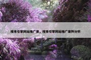 搜索引擎网站推广案，搜索引擎网站推广案例分析